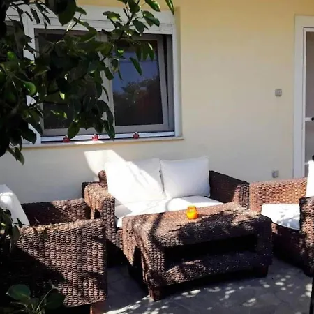 The House In Nature Skg *