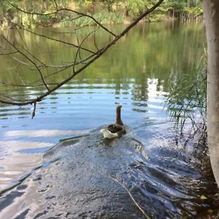 The House In Nature Skg * 欧莱欧卡斯特伦