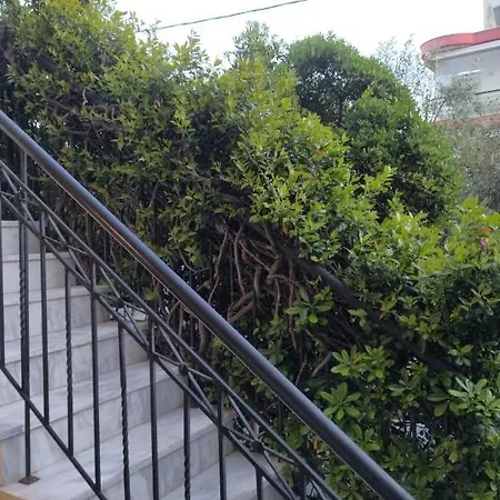 The House In Nature Skg 欧莱欧卡斯特伦