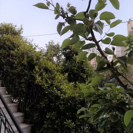 The House In Nature Skg Oreókasztro