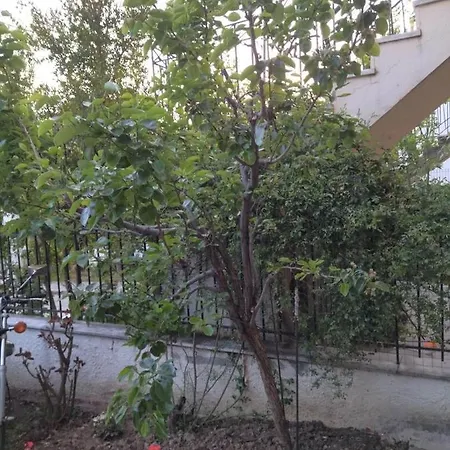 Apartamento The House In Nature Skg