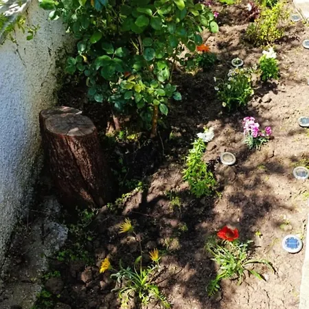 公寓 The House In Nature Skg