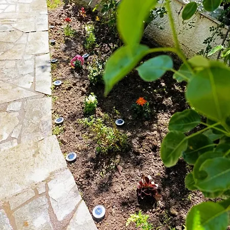 The House In Nature Skg 欧莱欧卡斯特伦