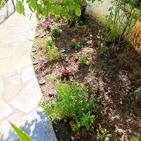 Daire The House In Nature Oreokastro