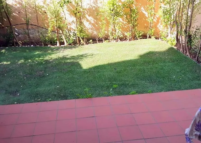 The House In Nature Skg *