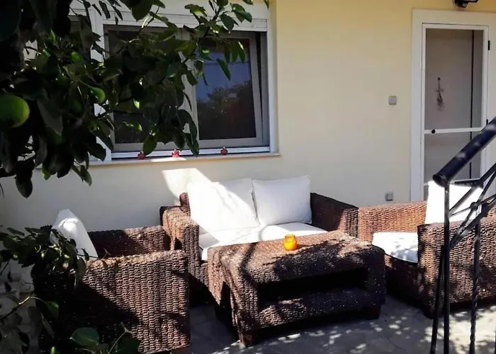 The House In Nature Skg *