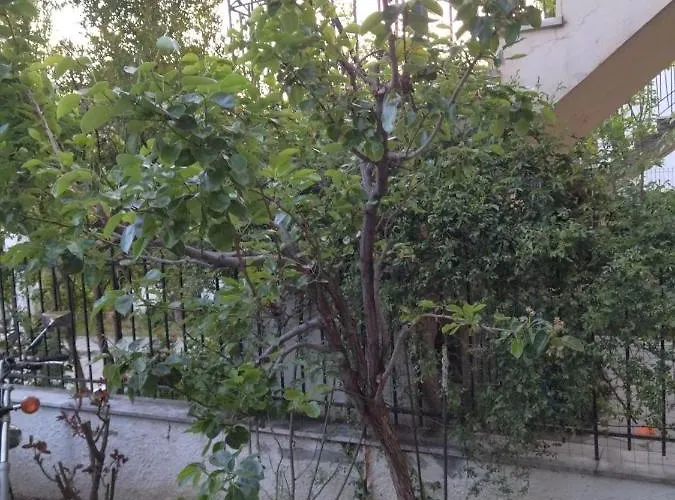 Apartamento The House In Nature Skg