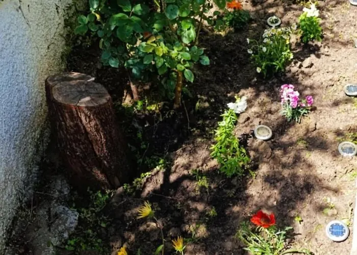 Apartamento The House In Nature Skg
